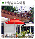 산청숲속의아침